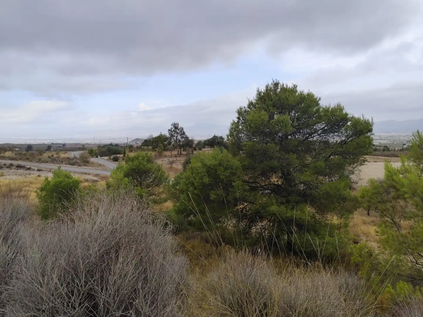 Terreno rustico in vendita a Pedanías Centro, imagen 4