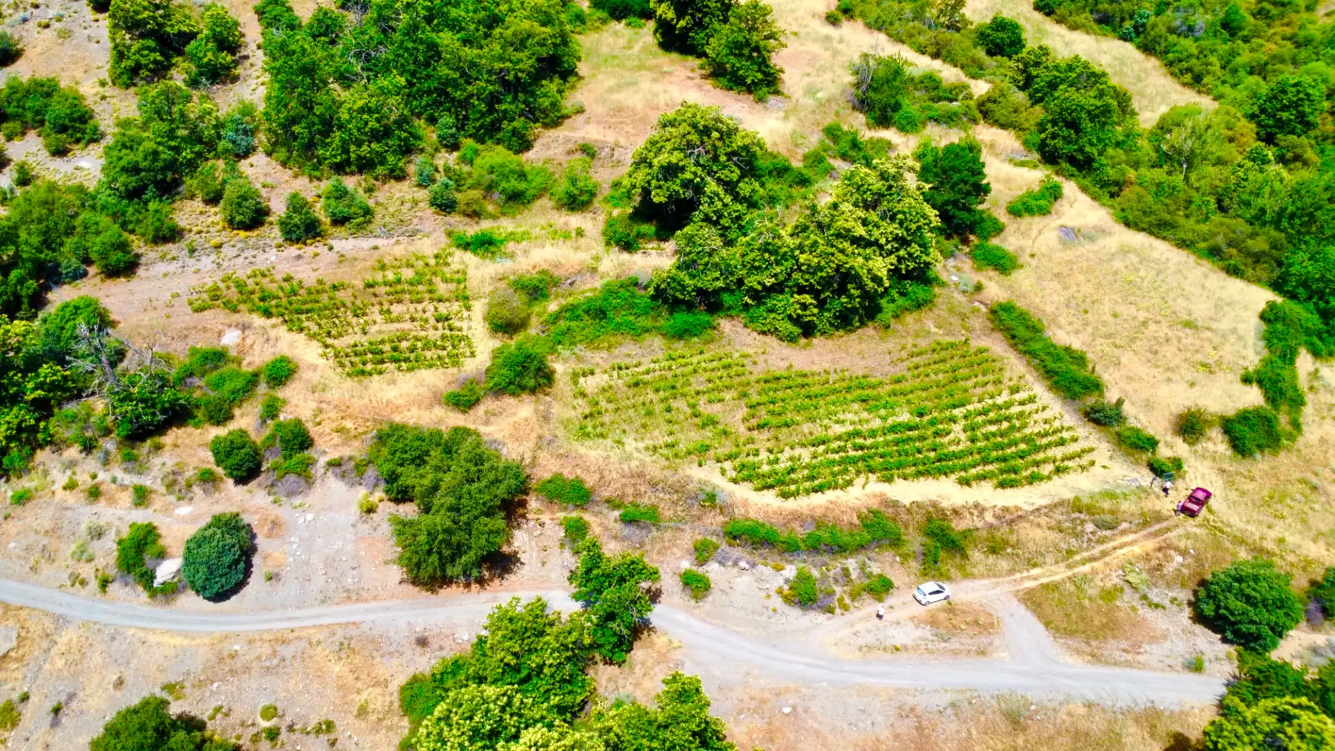 Terreni e lotti in vendita a Alpujarra de la Sierra, imagen 22