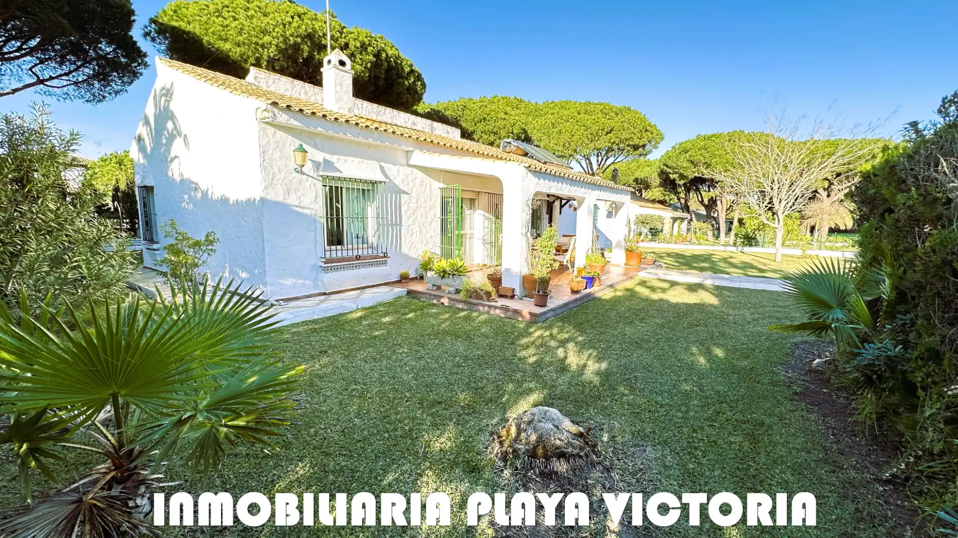 Vista exterior de Casa o chalet en venta en Conil de la Frontera con Aire acondicionado, Jardín privado y Piscina
