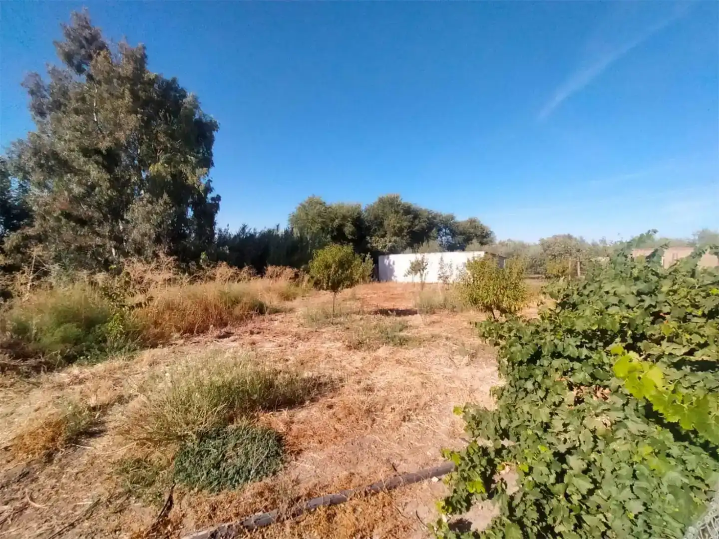 Finca rústica en venda en Marmolejo amb Aire condicionat i Piscina