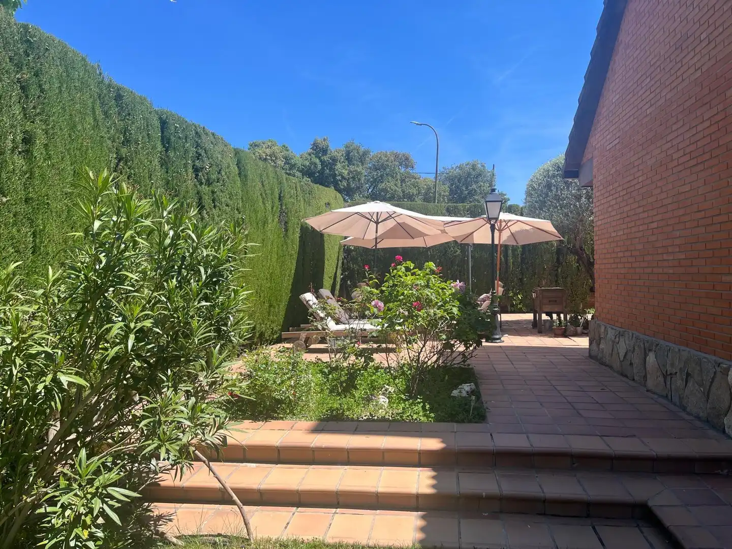 Garden of Detached homes for rent in La Navata