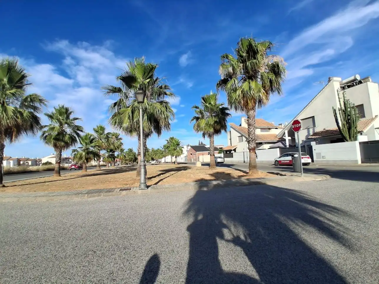 Exterior view of Detached homes for sale in Villanueva del Ariscal  with Private garden