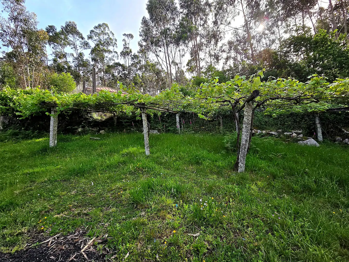 Finca rústica en venta en Meis con Jardín privado y Terraza