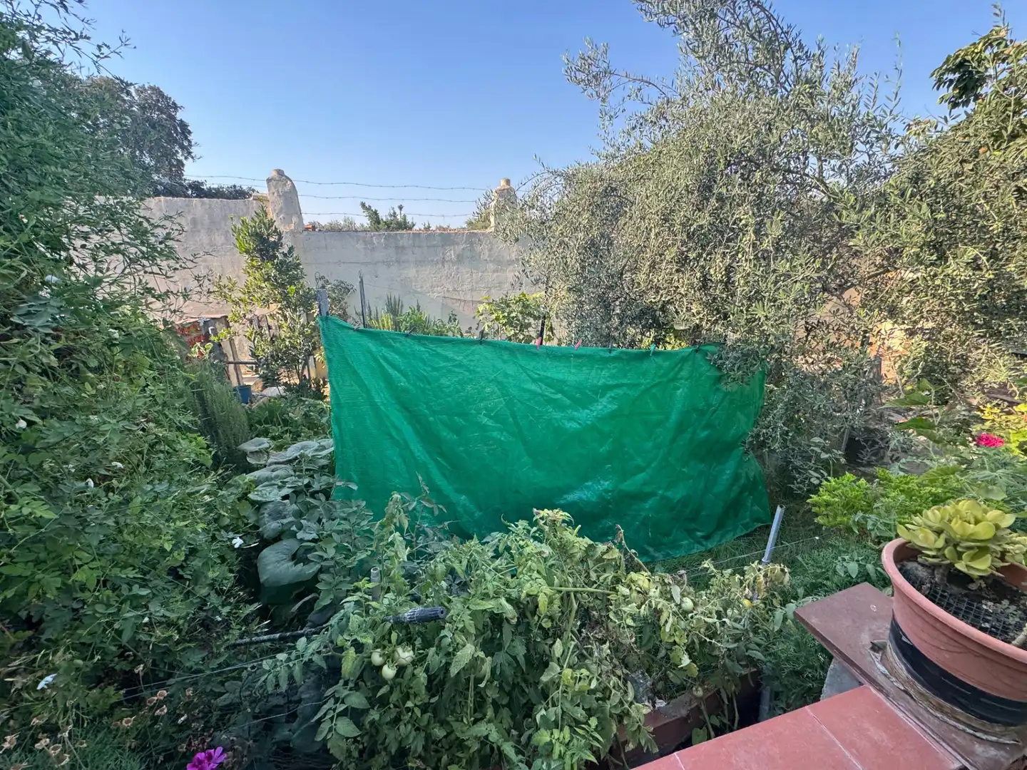 Jardín de Finca rústica en venta en Dos Hermanas