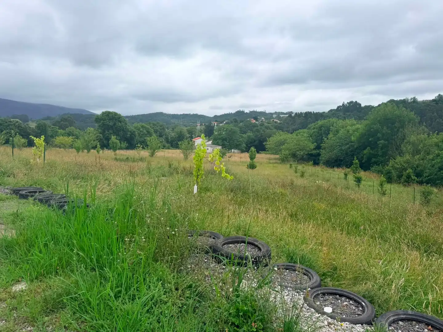 Casa o xalet en venda en Cartes amb Aire condicionat, Calefacció i Jardí privat