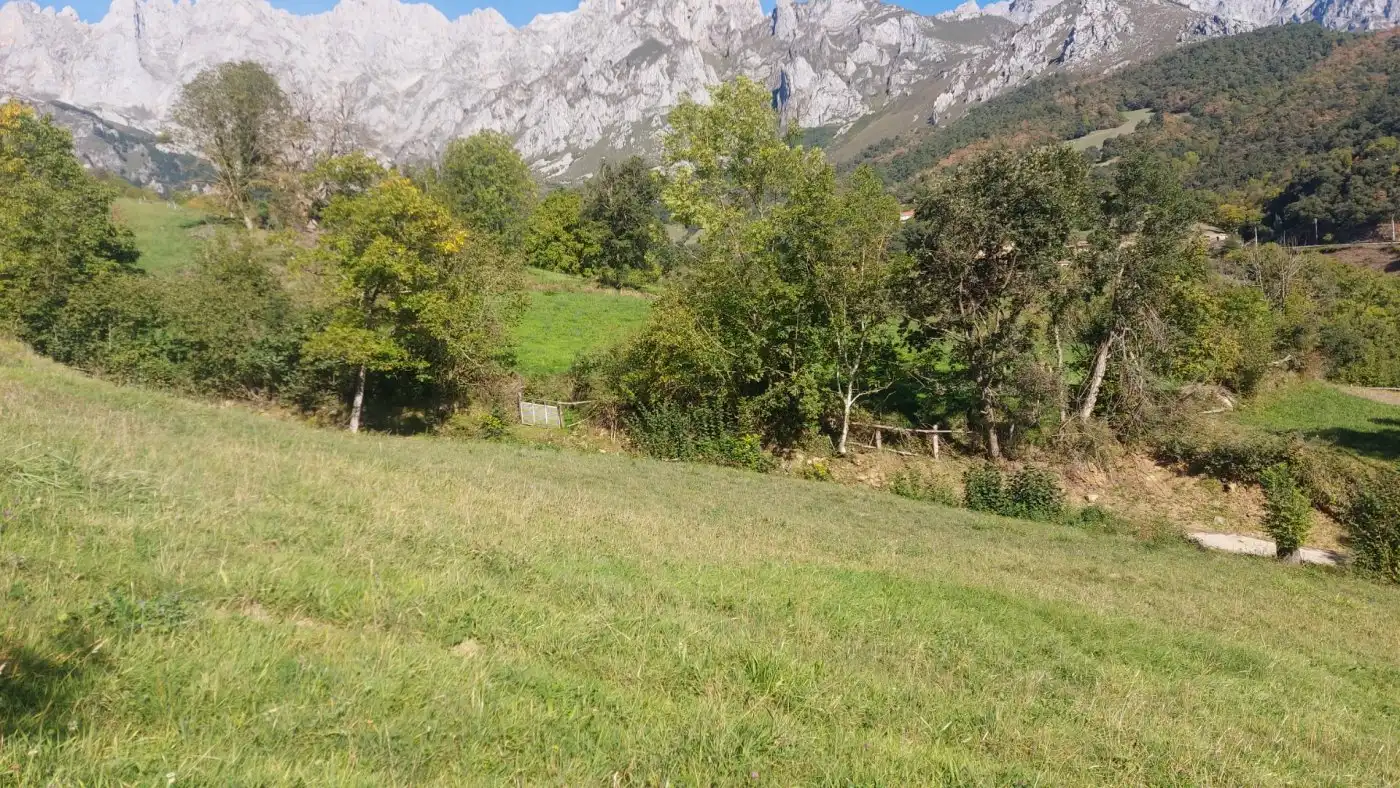 Terreno en venta en Camaleño