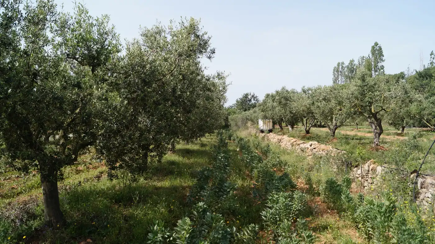Terreno en venta en Torredembarra