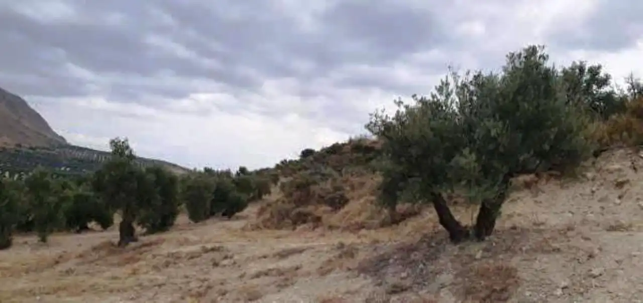 Rural land for sale in Bedmar y Garcíez, imagen 6