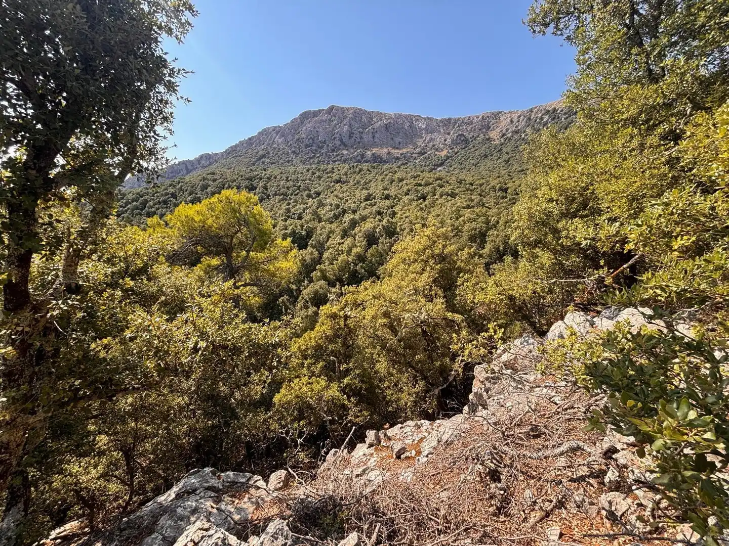 Country homes for sale in Escorca  with Private garden and Terrace