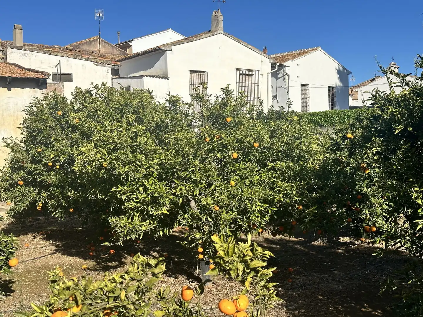 House with terrace for sale in Algímia de Alfara, imagen 51