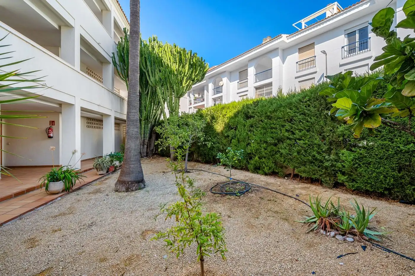 Appartement compact avec terrasse à vendre à Altea ciudad, imagen 5