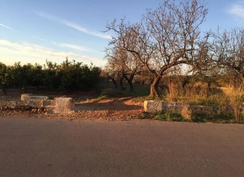 Terreno rustico in vendita a C/ Cerdá, imagen 3
