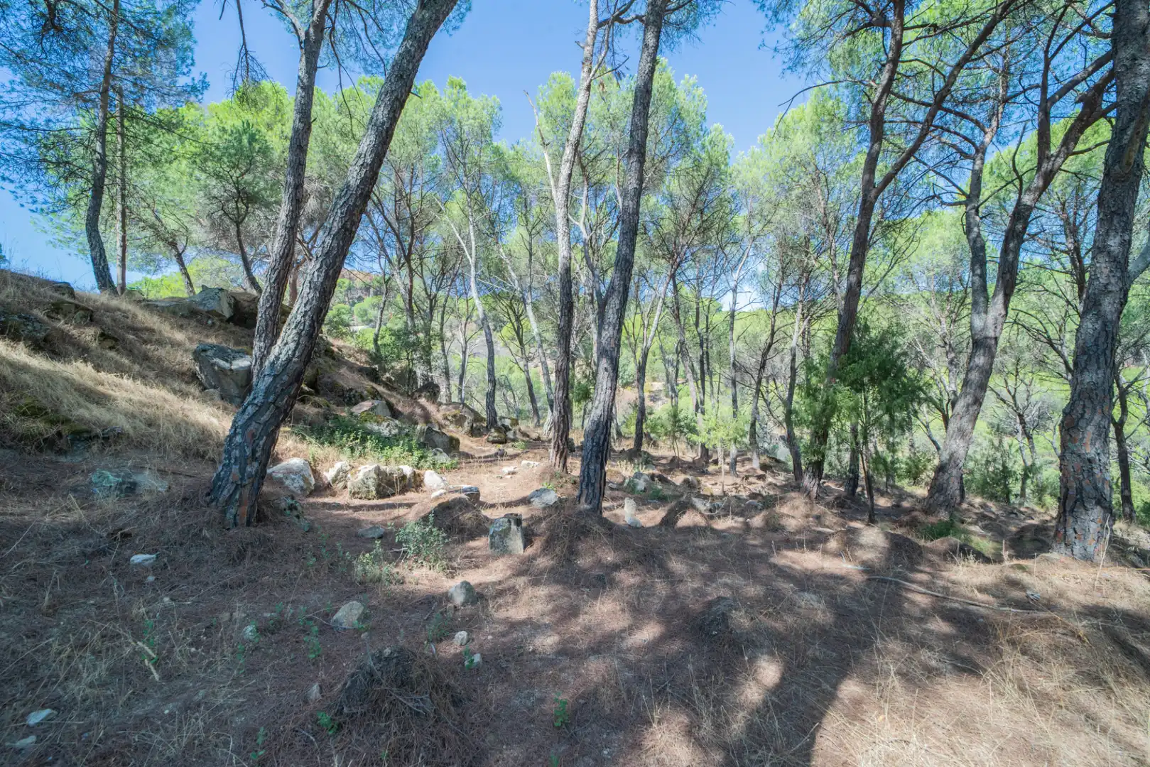 Residencial en venta en San Martín de Valdeiglesias, Madrid