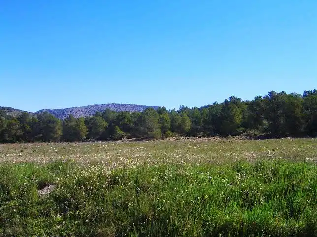 Terrenys i solars en venda a Lorca Ciudad, imagen 8
