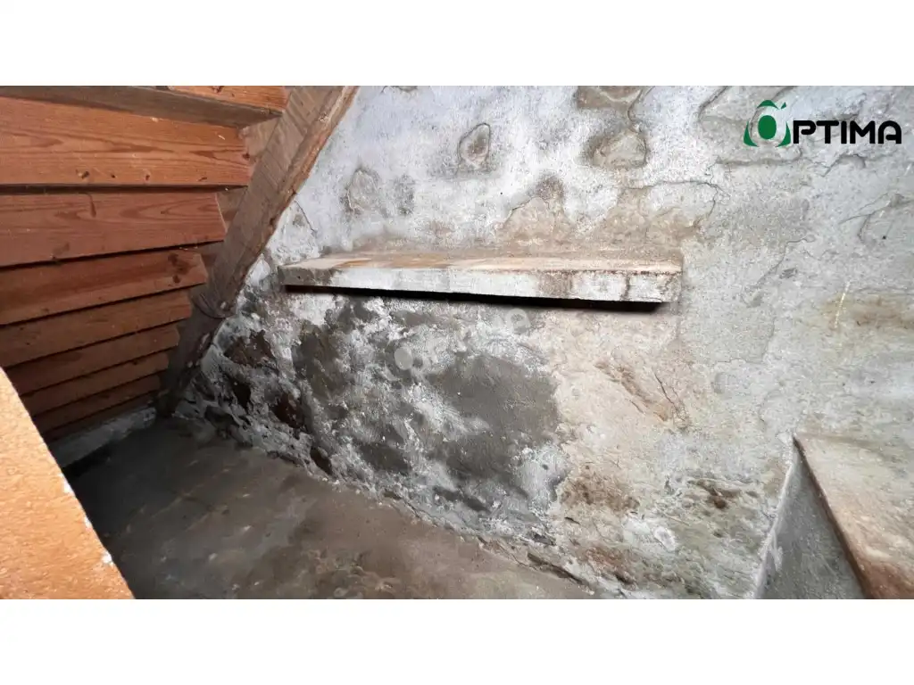 House for sale in A Estrada, imagen 11