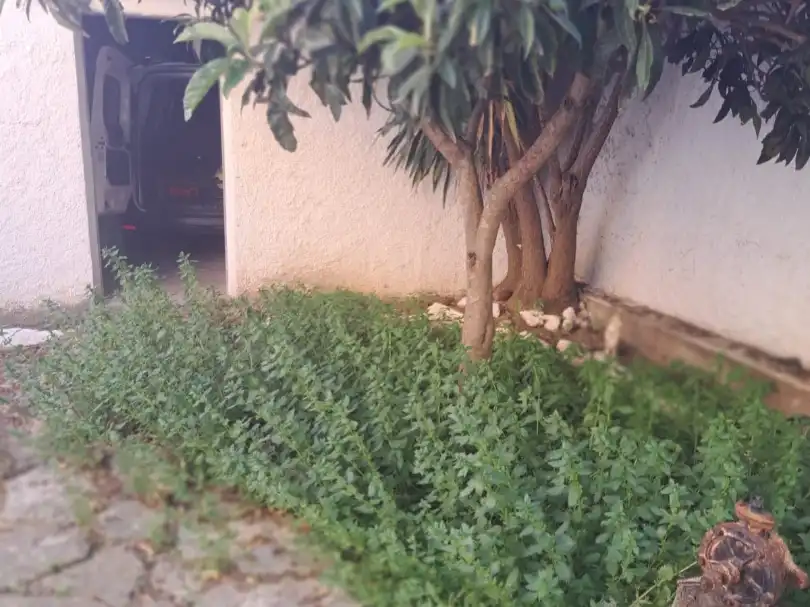 Habitatge amb jardí en venda a Calle Huesca 18, imagen 36