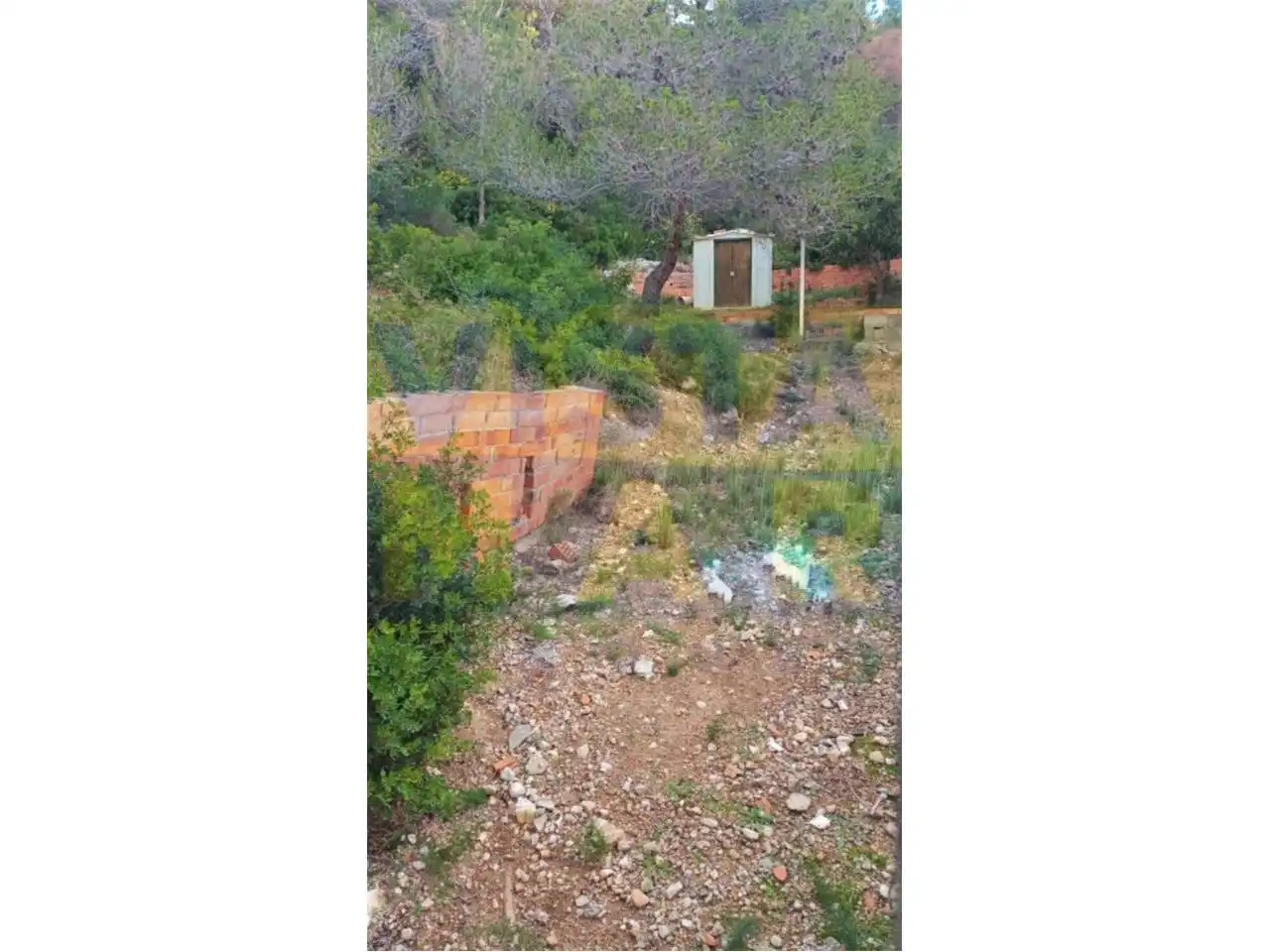 Terrain rustique à vendre à Mas Trader - Corral d'En Tort - Corral d'En Cona, imagen 4