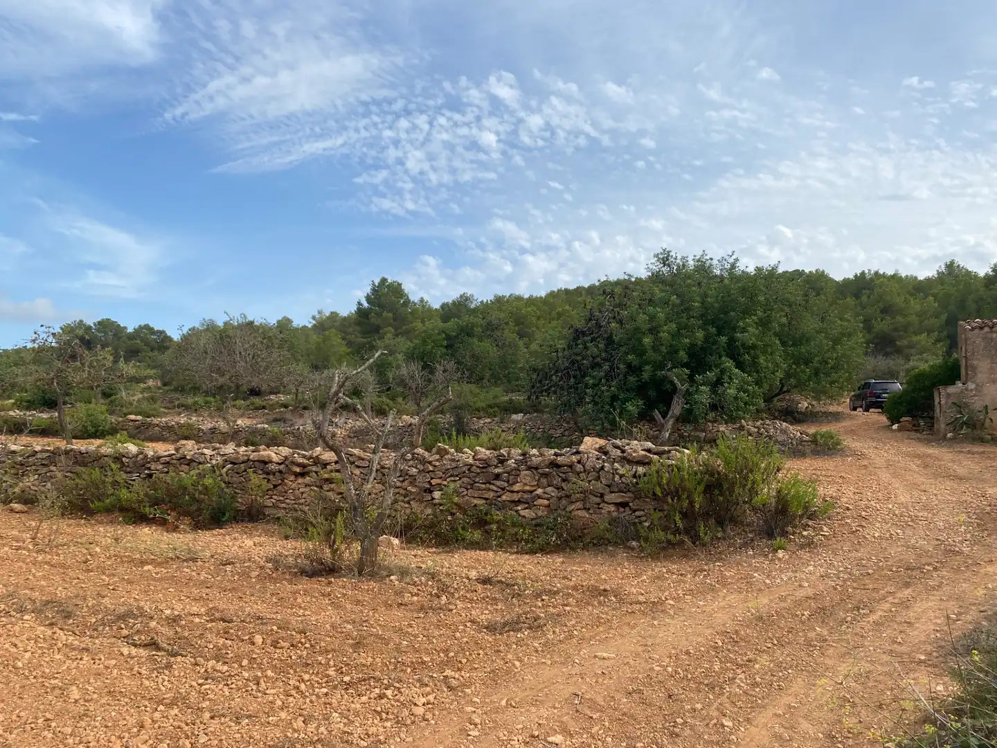 Terrain rustique à vendre à Carrer Camí de Montferri, imagen 5