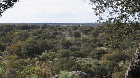 Foto 5 de Residencial en venda a Ledesma, Salamanca