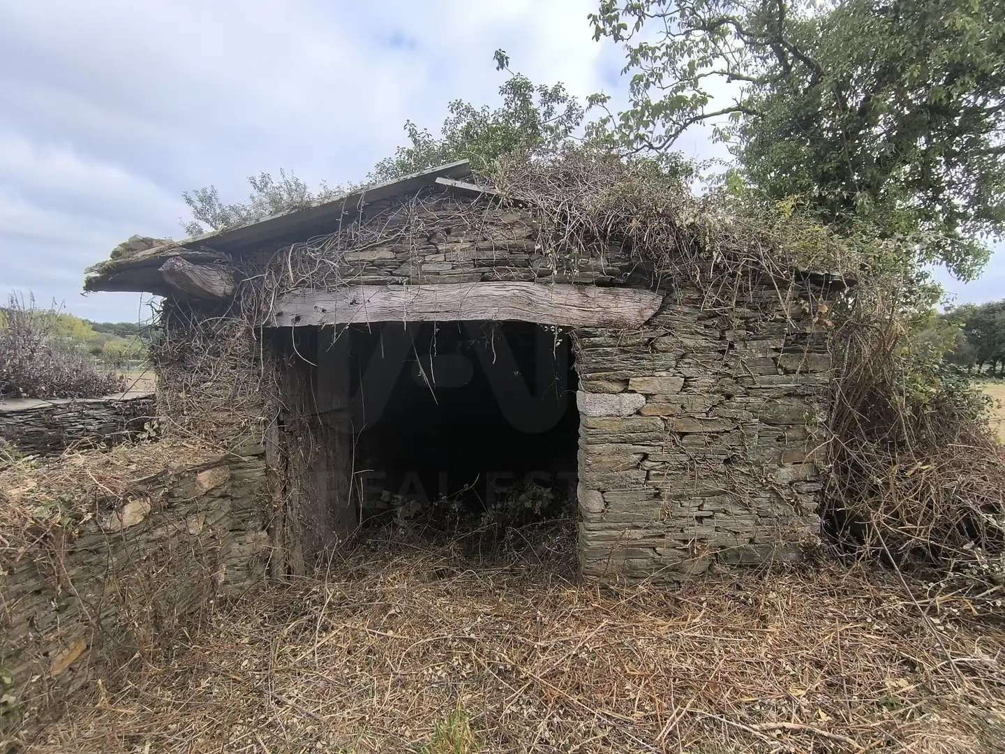 Casa rústica en venta en Outeiro de Rei, imagen 7