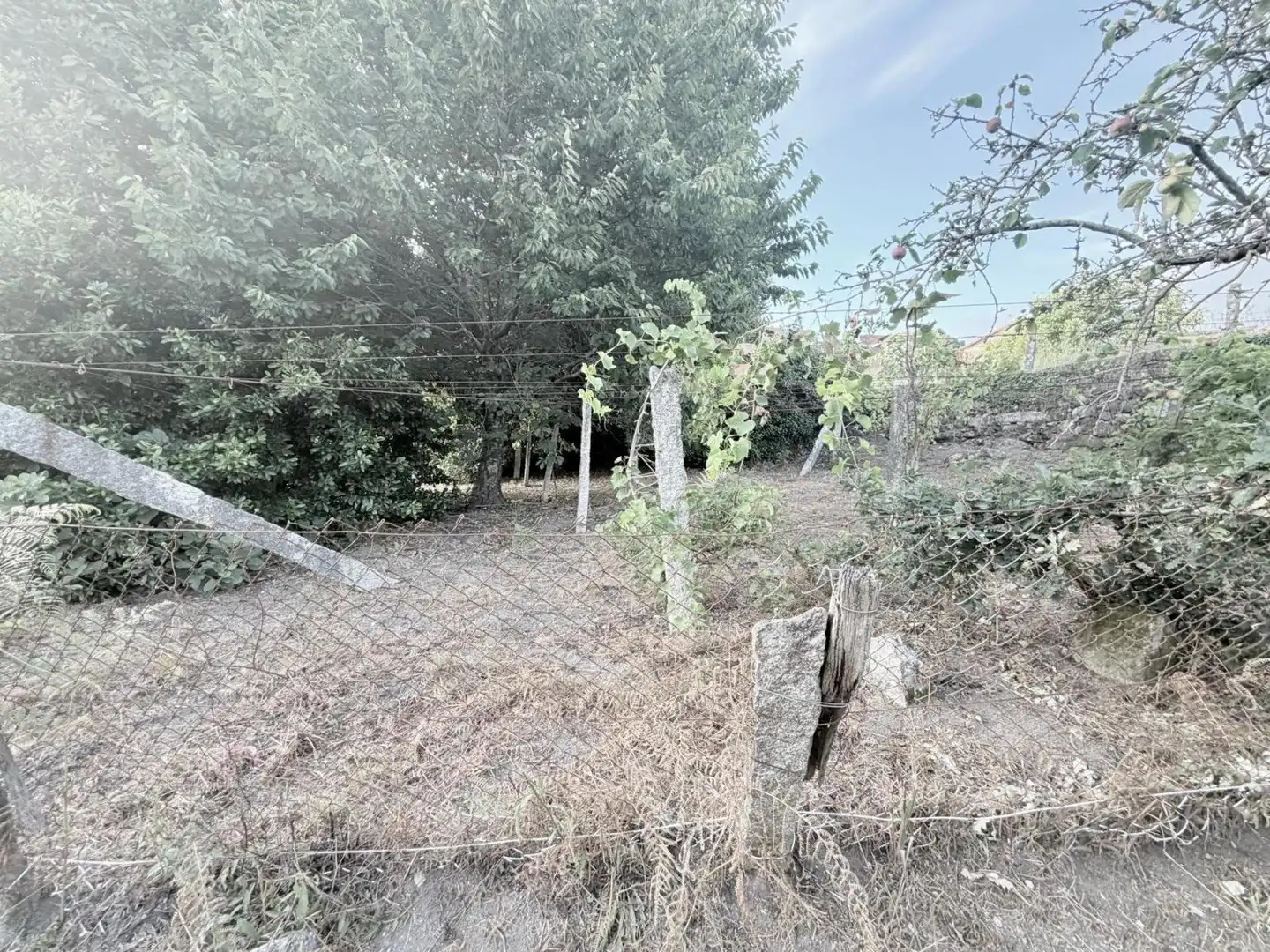 Country homes for sale in Samieira