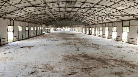 Photo 3 of Industrial buildings for sale in Pinarejo, Aldea de San Miguel, Valladolid