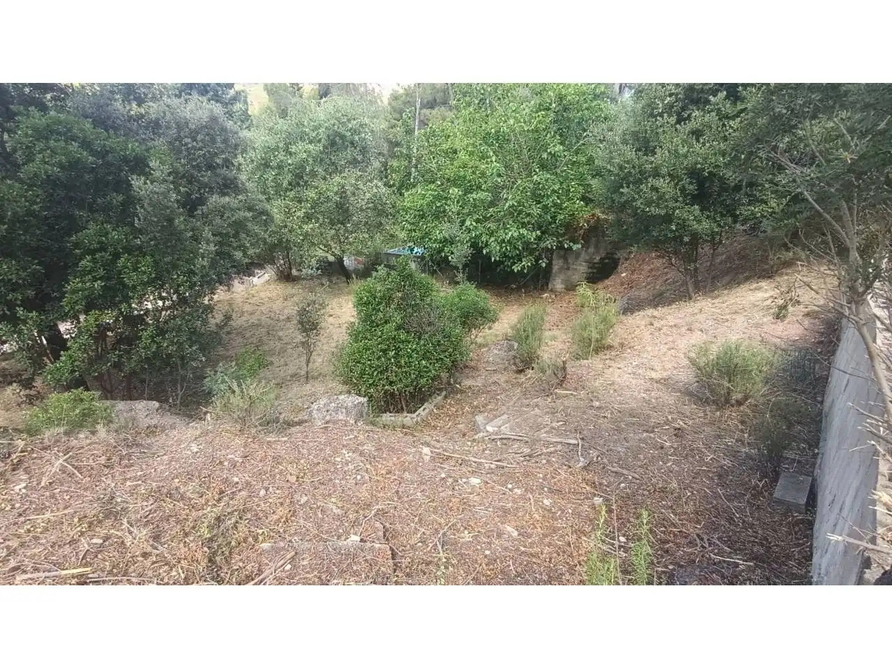 Rural land for sale in Vacarisses, imagen 16
