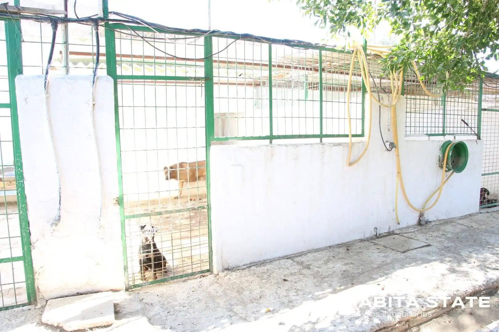 Exterior view of Residential for sale in Pechina