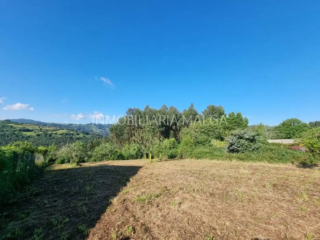 Terrain résidentiel à vendre à Colunga, imagen 14