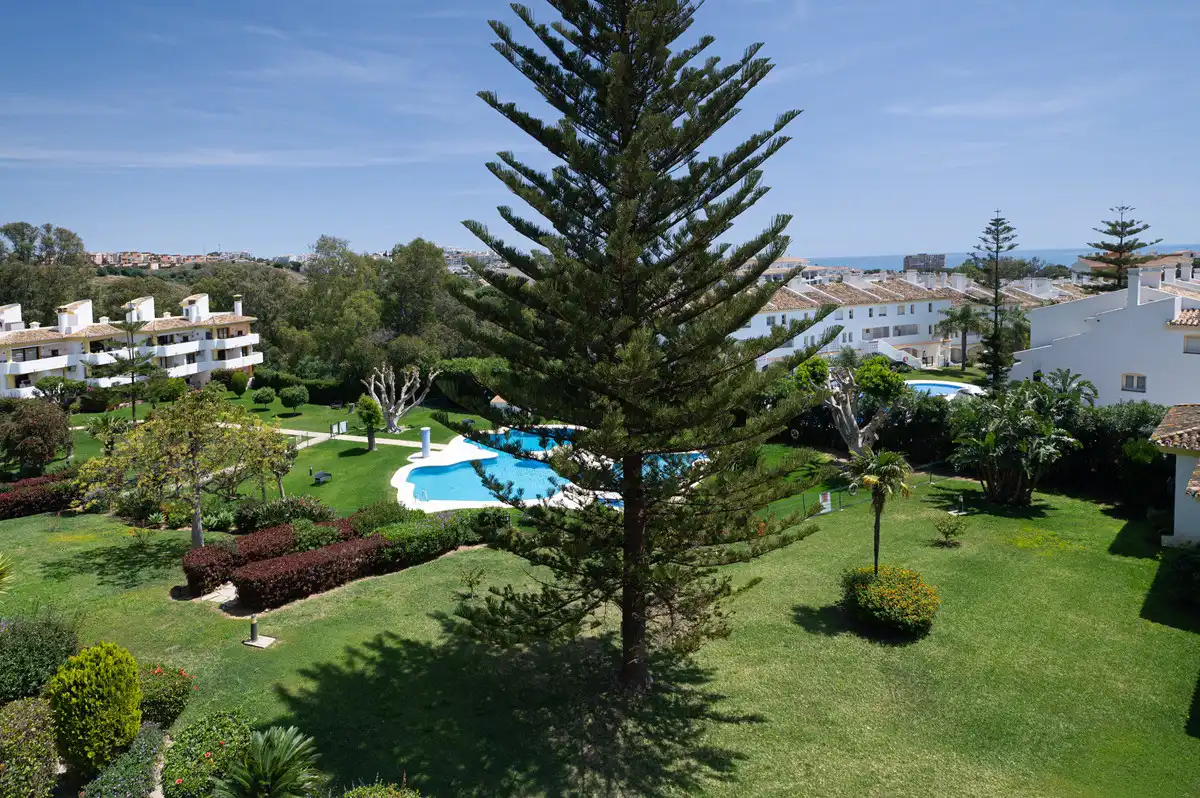 Apartamento con piscina en venta en Calahonda, imagen 17
