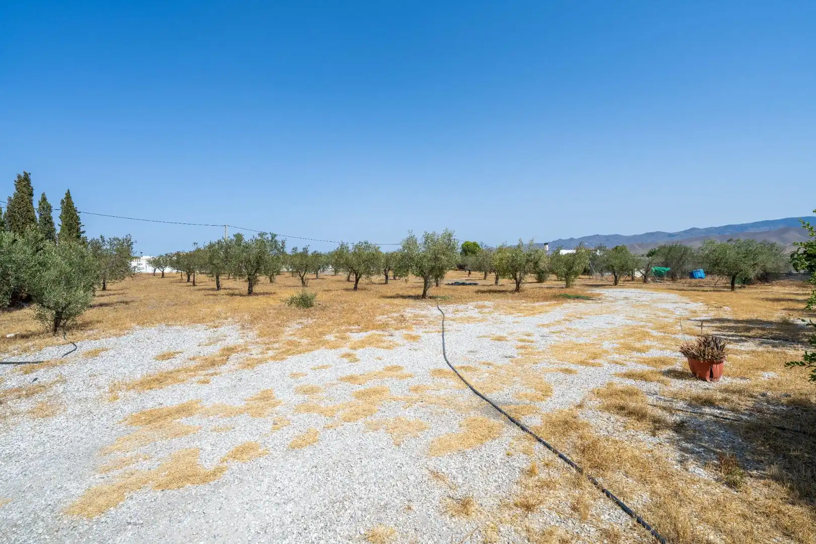 Finca rústica en venta en Tabernas con Aire acondicionado, Jardín privado y Piscina