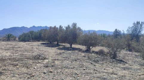 Finca Rustica  70.000 m2 de terreno rustico, imagen 5