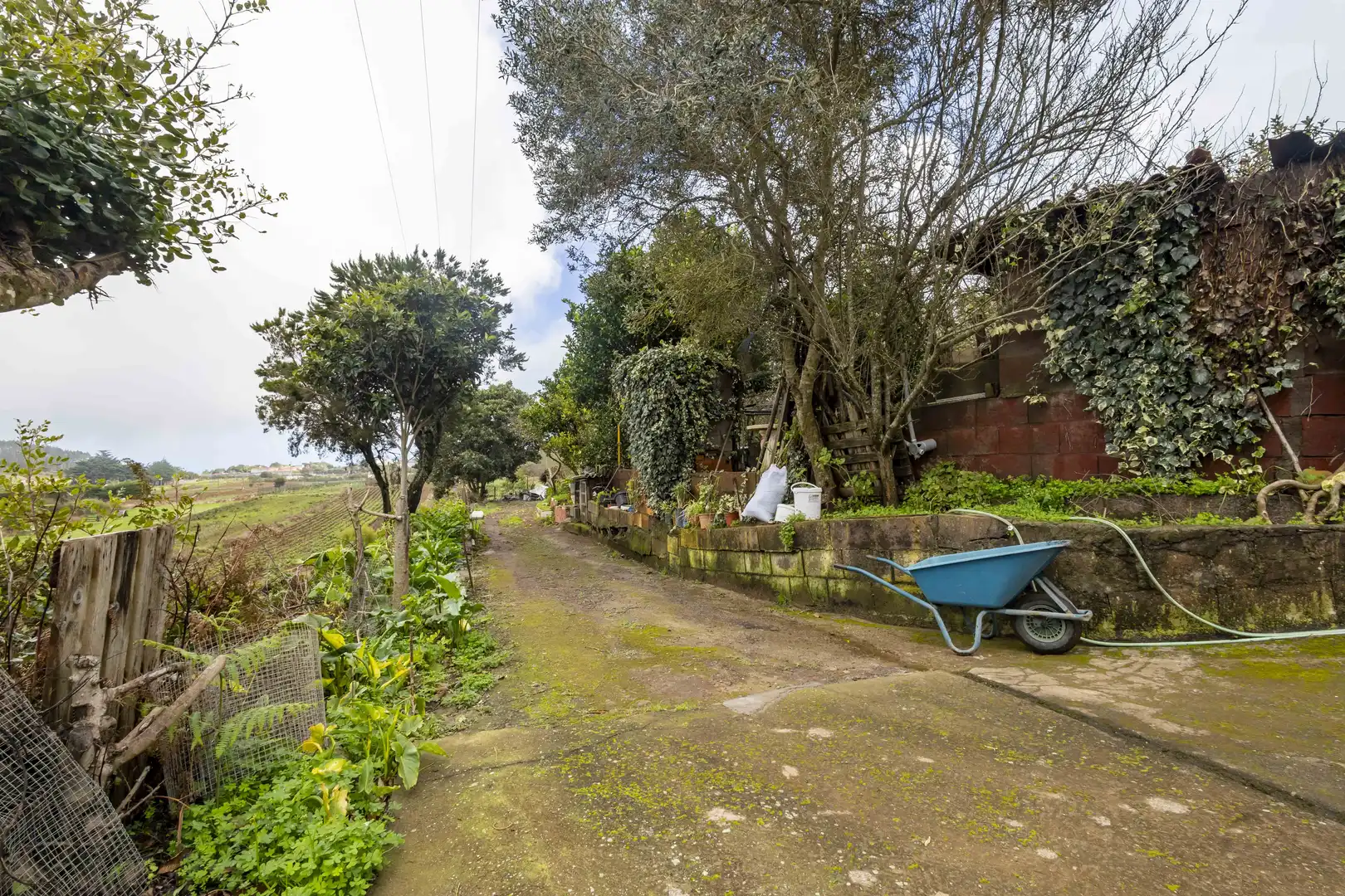 Vista exterior de Finca rústica en venta en San Cristóbal de la Laguna con Calefacción, Jardín privado y Terraza
