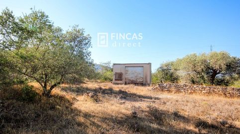 Foto 4 de Finca rústica en venda a Vfp9+769, Xerta, Tarragona