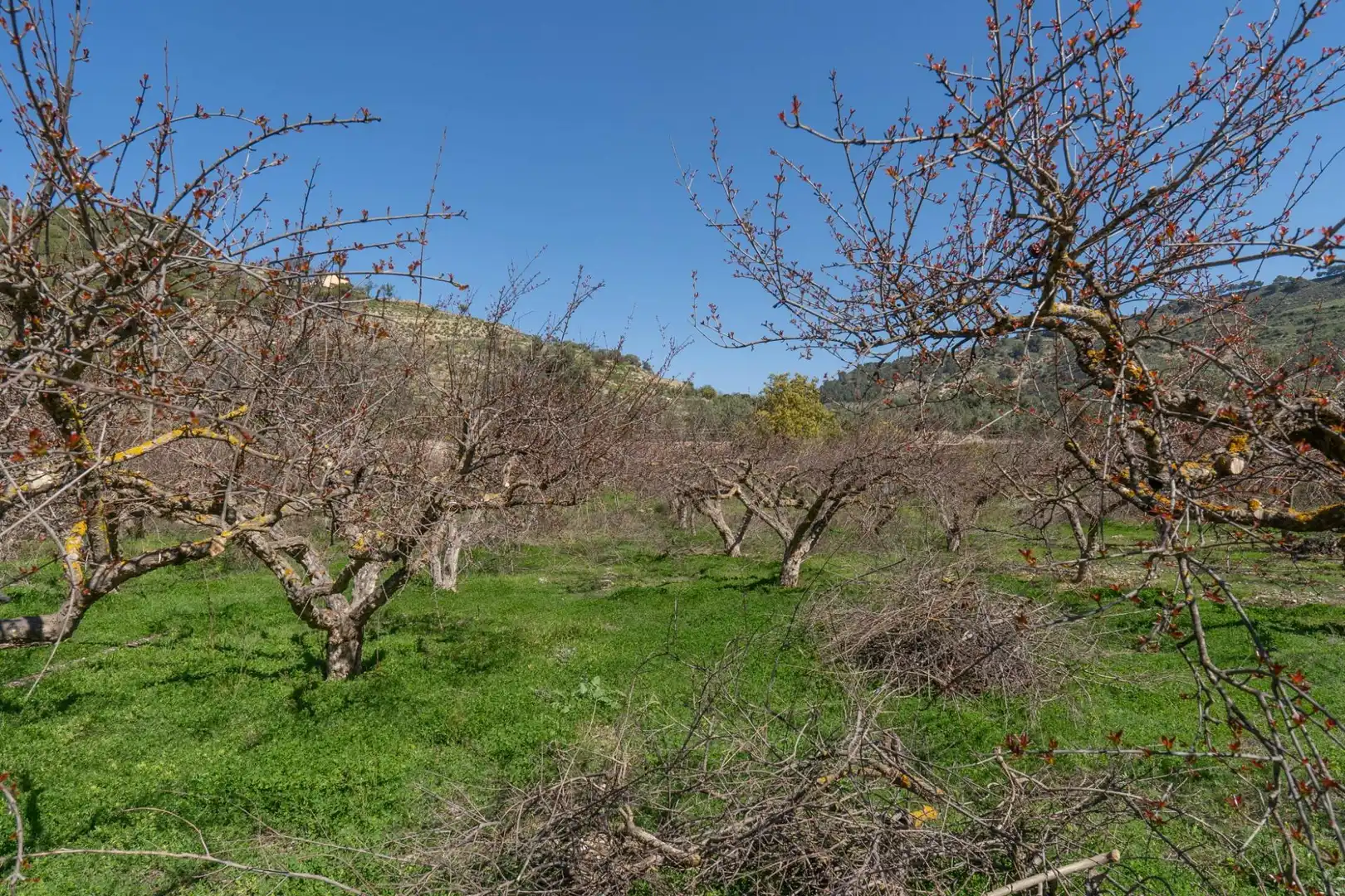 Terreni e lotti in vendita a Villamena, imagen 24