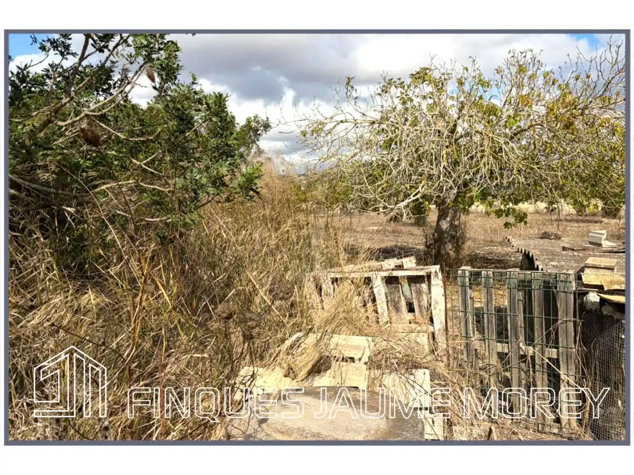 Finca rústica en venta en Maria de la Salut con Jardín privado