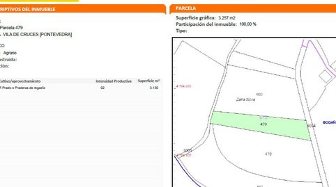 SE VENDE FINCA RÚSTICA EN BODAÑO (VILA DE CRUCES)