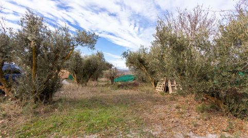 Foto 5 de Finca rústica en venda a Dúrcal, Granada