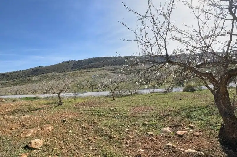 Terreno rustico in vendita a El Valle, imagen 7