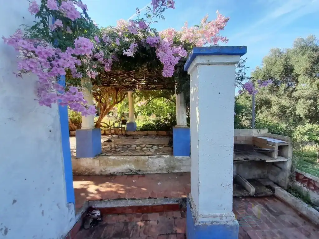 Terreny rústic en venda a Cami de la Flota, imagen 6