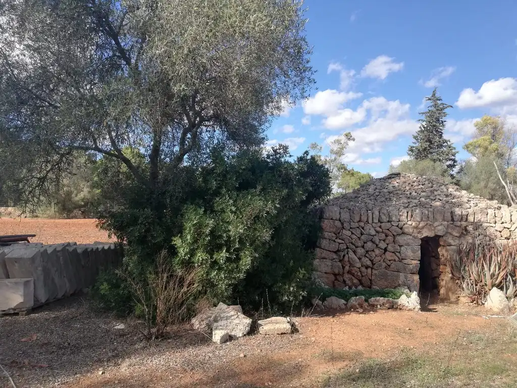 Terreno rustico in vendita a Algaida, imagen 6