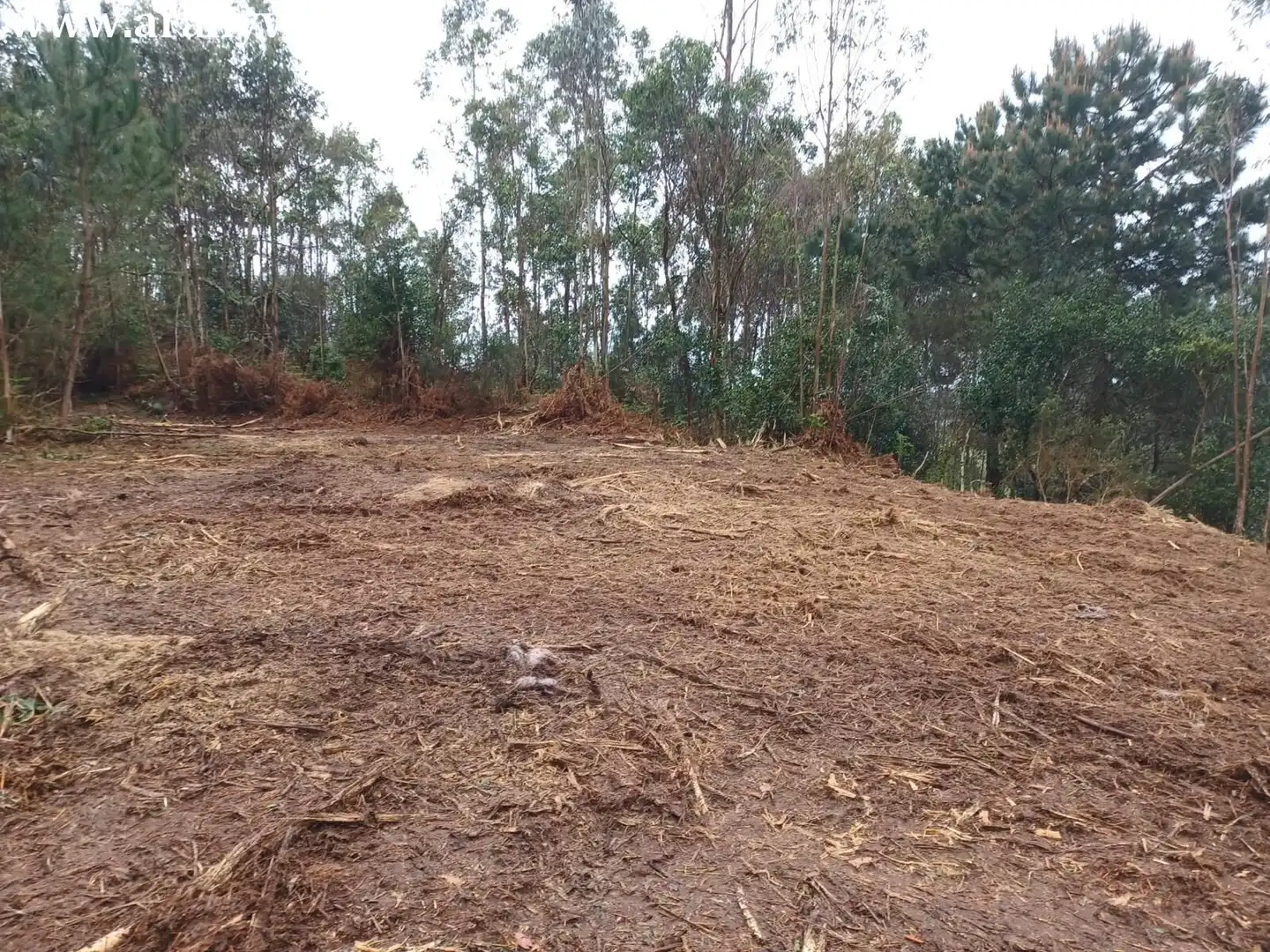 Wohnbaugrundstück zum Verkauf in Lugar LAGOA