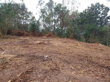 Terreno residencial en venta en Lugar LAGOA