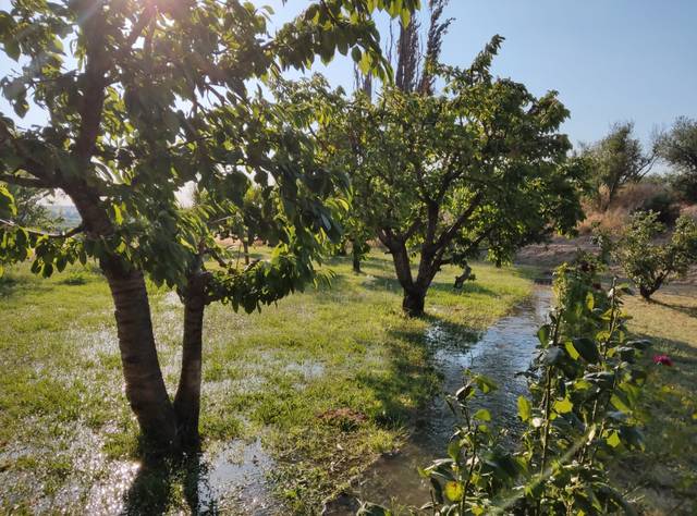 Finca rústica en Venta en Carrer Patricio Redondo en Puigverd de Lleida