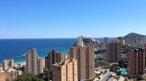Foto 4 de Piso en venta en Playa Poniente, Benidorm