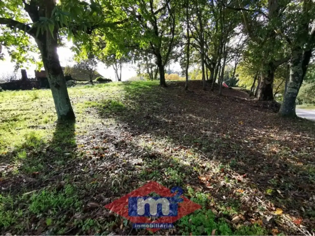 Lands and plots for sale in Salceda de Caselas, imagen 7