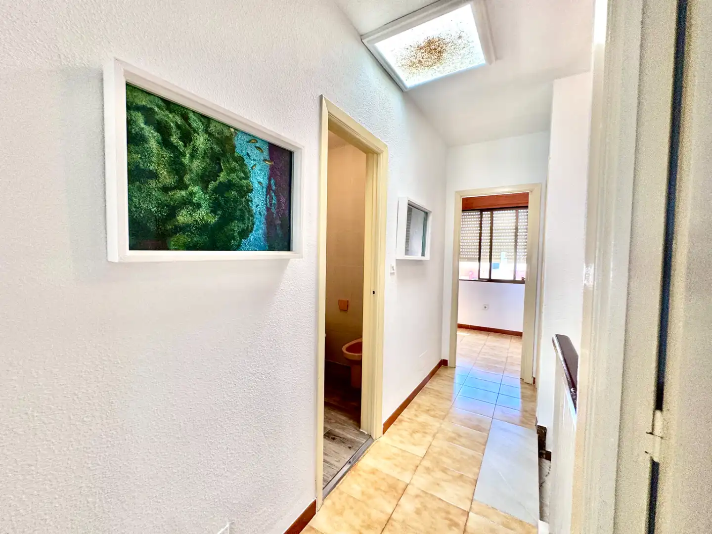 Maison avec jardin à vendre à Calle Olivares, imagen 32