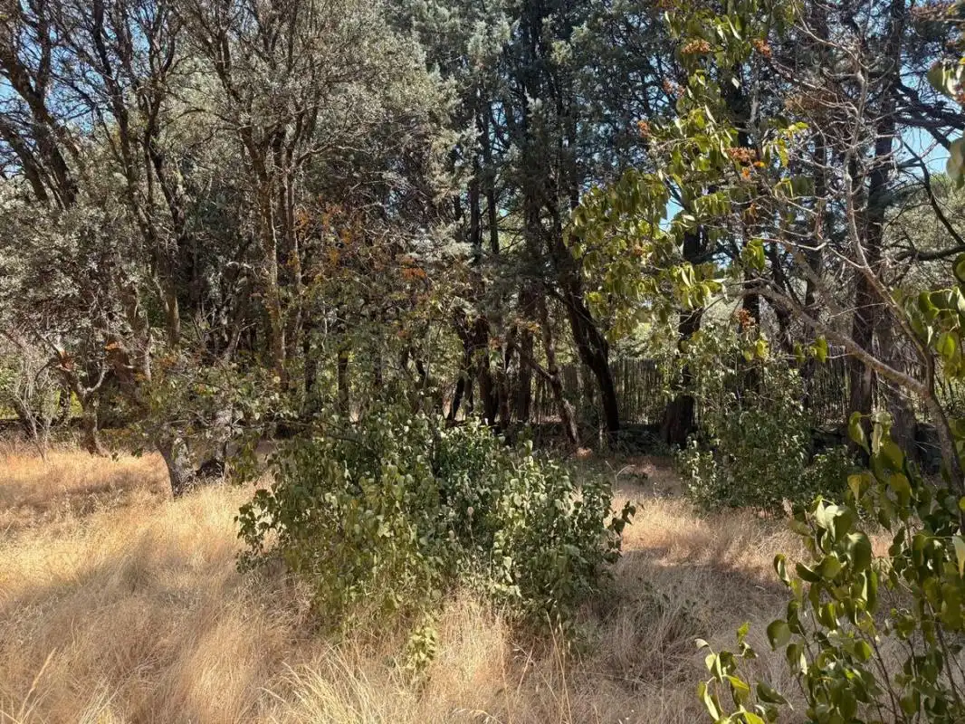 Residential land for sale in Camino de los Barrizales, imagen 10