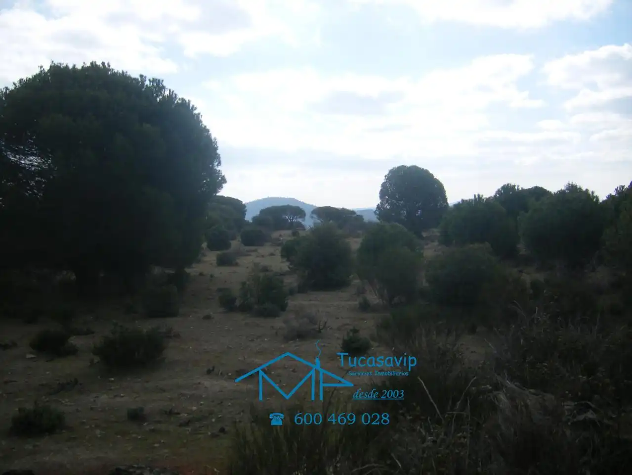 Terreni e lotti in vendita a Cebreros, imagen 27