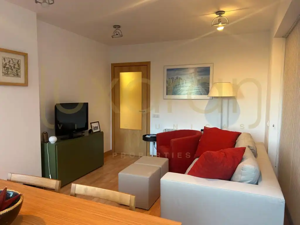 Sala d'estar de Apartament en venda en Alt Àneu, Lleida